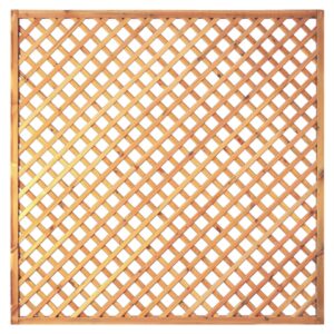 Diagonal- und Bogen-Rankzaun 6×6 – 1800mm x 1800mm – Serie Bogen-Rankzaun 6x6 Produktbild